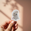 Search for photo bottle stickers Vinyl