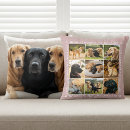 Search for dusty rose cushions Create your own