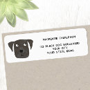 Search for black labrador return address labels Cute