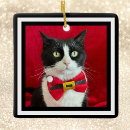 Search for tuxedo cat gifts Cats