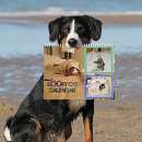 Search for humor calendars Cats