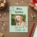 Search for fur baby cards Cat