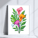 Search for calla lilly posters Lillies