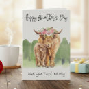 Search for highland cow cards Calf