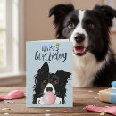Search for border collie cards Animal