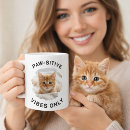 Search for cat saying mugs Quote