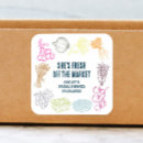 Search for garden fresh vegetables stickers Fresh off the market