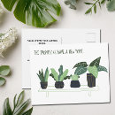 Search for pots postcards Potted plants