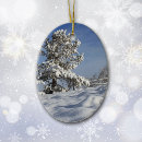 Search for utah christmas tree decorations Nature