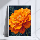 Search for marigold posters Orange