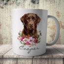 Search for chocolate labrador retriever mugs Canine