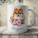 Search for pomeranian mugs Spitz