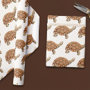 Search for tortoise wrapping paper Reptile