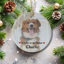 Search for pet memorials Dog cat animal