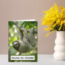 Search for hang photography Encouragement
