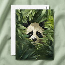 Search for panda postcards Nature