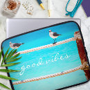 Search for blue bird cases Photography