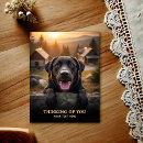 Search for dog note postcards Canine