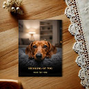 Search for doxie postcards Canine