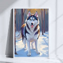 Search for husky posters Winter