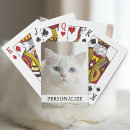 Search for eyes playing cards Cat