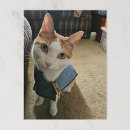 Search for embarrassing postcards Funny