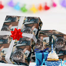 Search for cats wrapping paper Cool