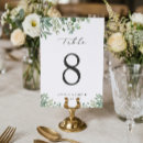 Search for eucalyptus table cards Foliage