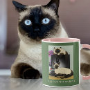 Search for office desk mugs Cats