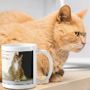 Search for homeowner mugs Funny