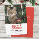 Search for naughty or nice christmas cards Cat