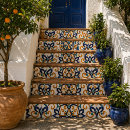 Search for tuscan tiles Ceramic