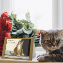 Search for in charge cards Cat