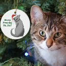 Search for grumpy christmas tree decorations Cat
