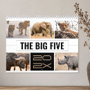 Search for five office supplies Photography