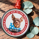 Search for pup christmas tree decorations Dog