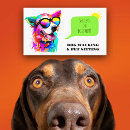 Search for rainbow business cards Pet sitter