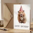 Search for hamsters Birthday