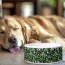 Search for celtic pet supplies Clover