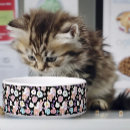 Search for cat bowls Black