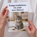Search for cat adoption cards Rescue