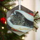 Search for cats christmas tree decorations Simple