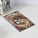 Search for nesting photography Bird nest