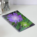 Search for asters notebooks Floral