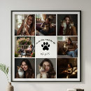 Search for pet memorials In loving memory