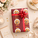 Search for retriever wrapping paper Dog