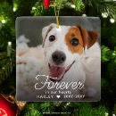 Search for pet memorial ornaments Forever in our hearts