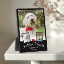 Search for christmas pet portraits Dog
