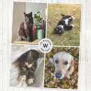 Search for pet blankets Fun