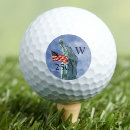 Search for american flag golf balls Statue of liberty